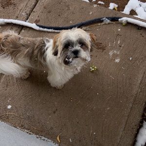 Meet your Posher, Arlette